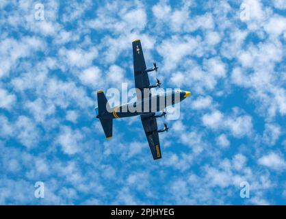 Lakeland, Florida, Stati Uniti. 1st Apr, 2023. L'aereo di supporto US Navy Blue Angels C130J, ''Fat Albert, '' esegue acrobazie aeree durante l'annuale Sun 'n Fun Aerospace Expo, 1 aprile 2023, all'aeroporto internazionale Lakeland Linder di Lakeland, Florida. (Credit Image: © Dominic Gwinn/ZUMA Press Wire) SOLO PER USO EDITORIALE! Non per USO commerciale! Foto Stock