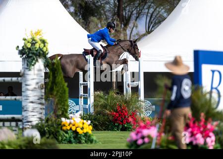 Conor Swail of Ireland compete a un evento Major League Show Jumping al Desert International Horse Park di Coachella, California. Foto Stock
