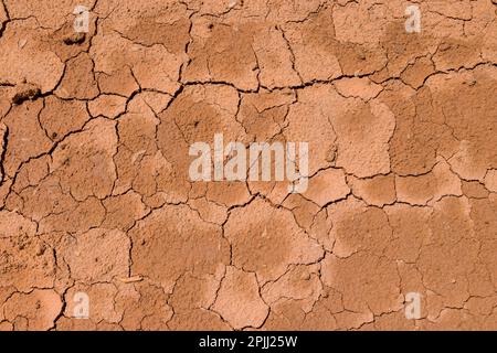 Dopo un lungo periodo di siccità, la struttura del terreno presenta una grande crepa. Foto Stock