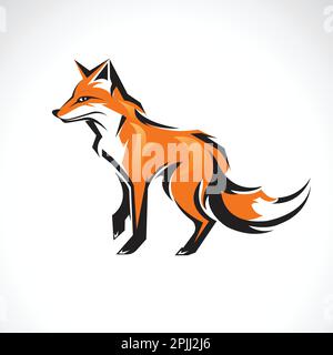 Vettore di un disegno volpe su sfondo bianco. Animali selvatici. Illustrazione Vettoriale