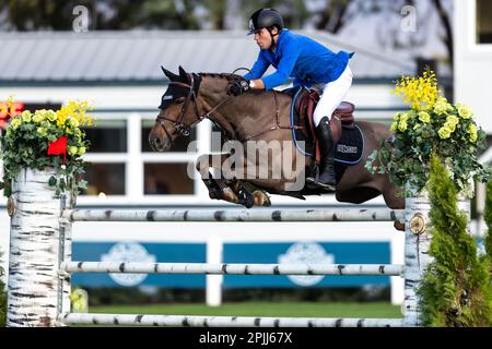 Conor Swail of Ireland compete a un evento Major League Show Jumping al Desert International Horse Park di Coachella, California. Foto Stock