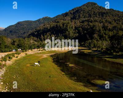 Area campeggio sulle rive del fiume Pichi Traful, Parco Nazionale Nahuel Huapi, Seven Lakes Road, Provincia di Neuqén, Argentina Foto Stock