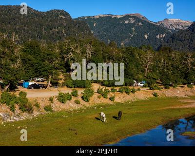 Area campeggio sulle rive del fiume Pichi Traful, Parco Nazionale Nahuel Huapi, Seven Lakes Road, Provincia di Neuqén, Argentina Foto Stock