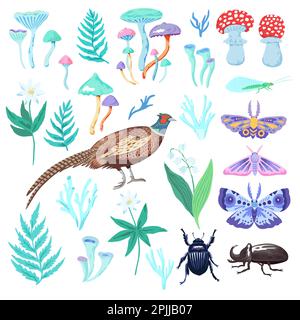 Set di clip art di piante forestali, uccelli e insetti. Funghi magici ed elementi vettoriali della natura per il design. Illustrazione Vettoriale