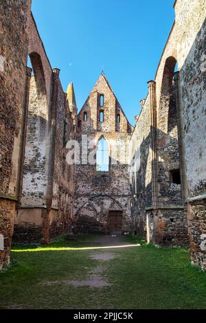 Rosa coeli, rovine della chiesa e del monastero, Dolni Kounice vicino alla città di Ivancice, Moravia meridionale, Repubblica Ceca Foto Stock