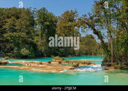 Agua Azul cascate cascate in mezzo alla foresta pluviale tropicale, Chiapas, Messico. Foto Stock