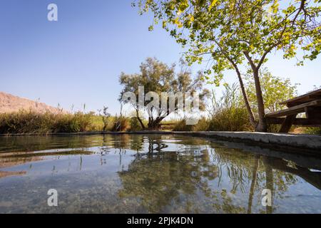 Una grande piscina di acqua dolce nel cuore del deserto nel nord del Mar Morto - Einot Tzukim. Foto Stock