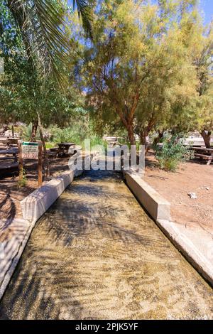 Torrente nel cuore del deserto - Einot Tzukim Riserva Naturale. A nord del Mar Morto Foto Stock