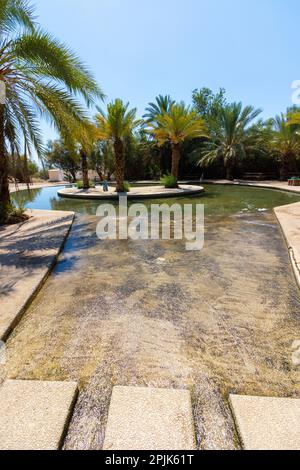 Enorme piscina di acqua limpida nel cuore del deserto - Einot Tzukim Riserva Naturale. A nord del Mar Morto Foto Stock