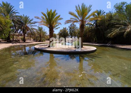 Enorme piscina di acqua limpida nel cuore del deserto - Einot Tzukim Riserva Naturale. A nord del Mar Morto Foto Stock