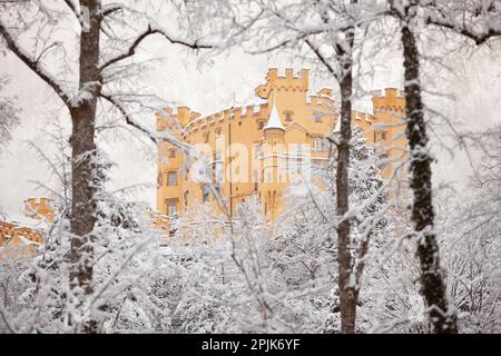 Hohenschwangau Castello nel paesaggio invernale, la mattina presto Foto Stock