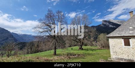 Paesaggio montano con una mancanza di neve, Saint-Pierre de Chartreuse, Isere, AURA Regione, Francia Foto Stock