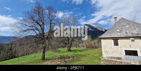 Paesaggio montano con una mancanza di neve, Saint-Pierre de Chartreuse, Isere, AURA Regione, Francia Foto Stock