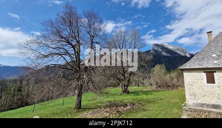 Paesaggio montano con una mancanza di neve, Saint-Pierre de Chartreuse, Isere, AURA Regione, Francia Foto Stock