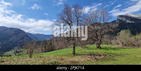 Paesaggio montano con una mancanza di neve, Saint-Pierre de Chartreuse, Isere, AURA Regione, Francia Foto Stock