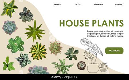 Illustrazione vettoriale del modello di pagina Web della pianta della casa. Illustrazione Vettoriale