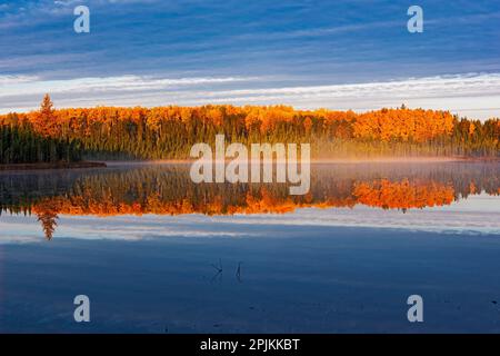 Canada, Manitoba, Duck Mountain Provincial Park. Nebbia mattutina sul lago in autunno. Foto Stock