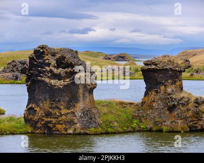 Camini lavici, formazioni rocciose create durante il raffreddamento di un flusso lavico, Riserva Naturale di Hofdi. Europa, Islanda Foto Stock