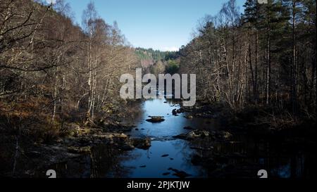 Un bel fiume che scorre attraverso una foresta Foto Stock