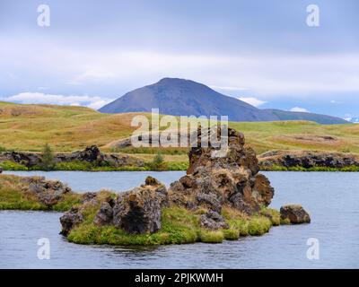 Camini lavici, formazioni rocciose create durante il raffreddamento di un flusso lavico, Riserva Naturale di Hofdi. Europa, Islanda Foto Stock