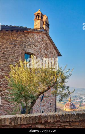 Italia, Umbria, Assisi. La cupola del Convento Chiesa Nuova come si vede dal paese sopra. Foto Stock