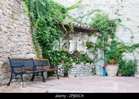 Italia, Umbria. Un angolo con vasi fioriti e una panchina nel paese di Assisi. Foto Stock