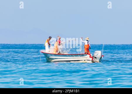 Playa El Tecolote, la Paz, Baja California sur, Messico. Pescatore che tira in una rete sul mare di Cortez. (Solo per uso editoriale) Foto Stock