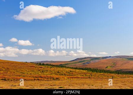 USA, Alaska, Kotzebue, fiume Noatak. Autunno ai margini del Taiga. Foto Stock