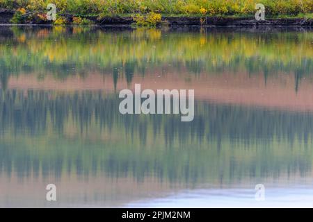 USA, Alaska, Kotzebue, fiume Noatak. Colori autunnali lungo il fiume Noatak. Foto Stock