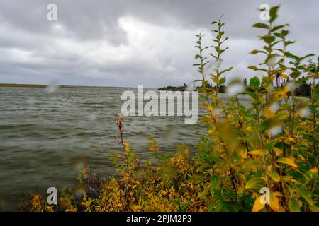 USA, Alaska, Kotzebue, fiume Noatak. Mattina d'autunno tempestosa alla foce del fiume Noatak. Foto Stock