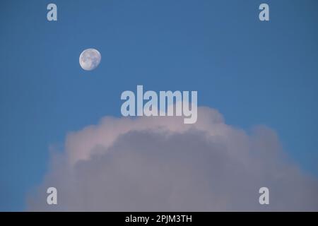 USA, Georgia, Savannah. La luna e le nuvole. Foto Stock