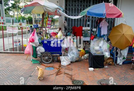 Febbraio 25 2023-Bangkok Thailandia-la stalla dei prodotti custoditi da cani e un gatto collegato. La stalla ha 3 ombrelli colorati e può camminare su ruote Foto Stock