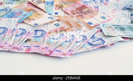 Denaro contante valuta estera euro dollaro hryvnia Foto Stock