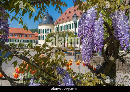 Castello di Bergzabern in Piazza della Duchessa Karoline, Bad Bergzabern, Palatinato, Renania-Palatinato, Germania, Europa Foto Stock