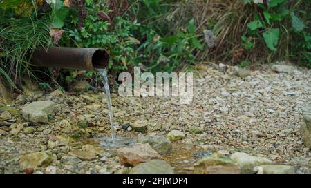 Nelle profondità del parco forestale, accanto al sentiero dove i turisti camminano, una pipa si stacca dai fitti. Da esso fluisce acqua da una fonte. Persone h Foto Stock