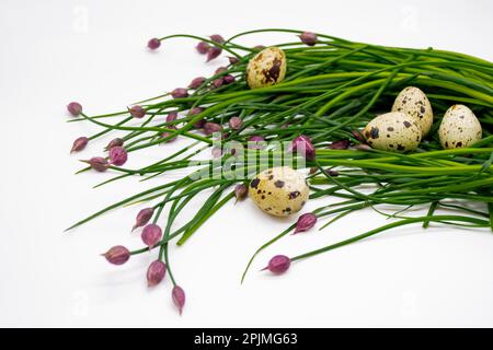 Germogli di cipolla verdi freschi con boccioli rosa, tra cui uova di quaglia. Il concetto di Pasqua biologica. Spazio di copia. Foto Stock