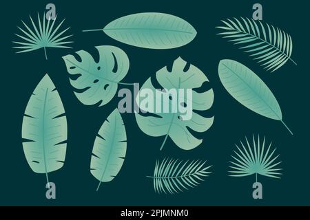 Set di foglie tropicali come palma, monstera, banana. Foglie tropicali sfumate in stile piatto su sfondo scuro. Applicabile per striscioni, design di schede. Vect Illustrazione Vettoriale