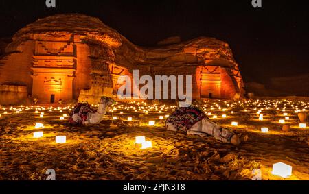 Cammelli posati di fronte alle antiche tombe della città di Hegra illuminata durante la notte, al Ula, Arabia Saudita Foto Stock