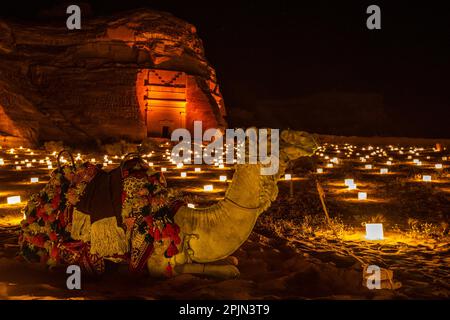 Cammello che posa di fronte alle antiche tombe della città di Hegra illuminata durante la notte, al Ula, Arabia Saudita Foto Stock