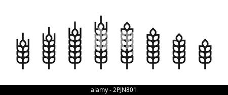 Contorno icona del grano o simbolo del grano. Punta di orzo o spiga di mais. Concetto di logo per panetteria, pane o agricoltura. Linea segnale grana. Illustrazione vettoriale Illustrazione Vettoriale