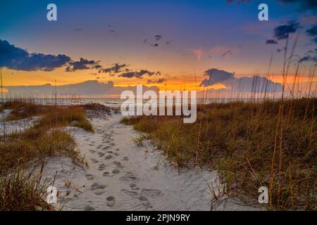 Dune di sabbia con sentiero all'alba, Hunting Island state Park South Carolina. Foto Stock