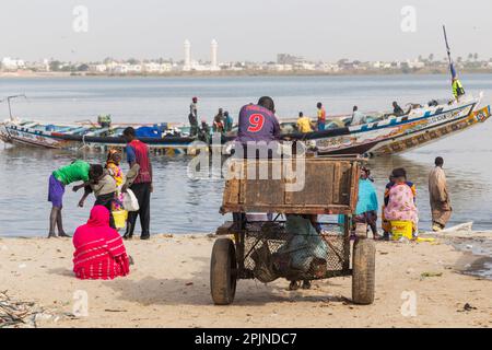 Dakar, Senegal. 18 agosto 2019: Persone che comprano e vendono pesce appena sbarcato sulla spiaggia a Dakar, Senegal, Africa occidentale Foto Stock