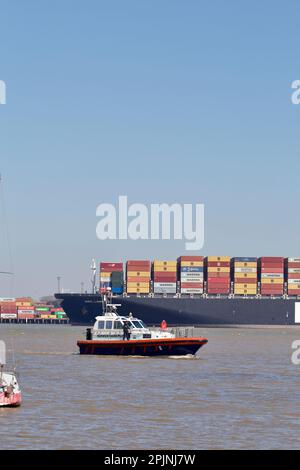 Harwich Haven pilota nave St Edmund su operazioni di pilotaggio ad Harwich Haven. Foto Stock