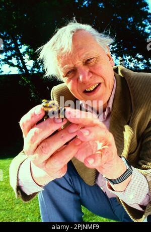 David Attenborough con un salamander nel giardino della sua casa a Kew Foto Stock