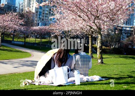 Due ragazze asiatiche sono seduti su picnic da sakura fiori di ciliegio accanto all'ombrello sole acqua potabile in scarpe borsa bottiglia sdraiato sul terreno interessato a leggere guardando telefono cellulare Canada 2023 Foto Stock