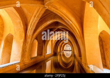 Bagni di Dona Maria de Padilla nell'Alcazar di Siviglia, Siviglia, Andalusia, Spagna, Europa sudoccidentale Foto Stock