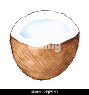 Noce di cocco color acqua tagliata, elemento isolato per il design. Illustrazione disegnata a mano Foto Stock