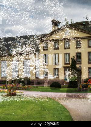 Fioritura del parco orangerie a Strasburgo. Magnolie, tulipani, rose. Doppia esposizione. Cartolina. Francia Foto Stock