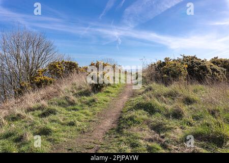 East Wemyss Beach Front, Kirkcaldy Scozia Foto Stock