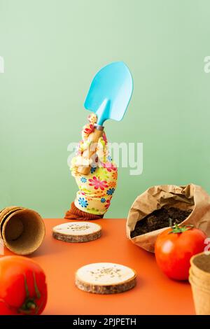 Piantare semi di pomodoro per piantine, mettere in un guanto con una pala da giardino, pentole e semi ecocompatibili, attrezzi per il giardinaggio e il terreno Foto Stock